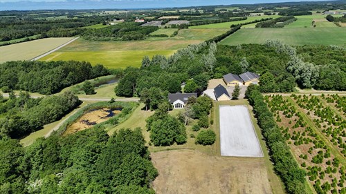 estate