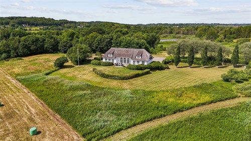 estate