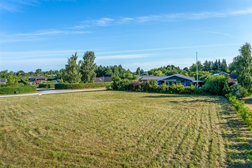 estate