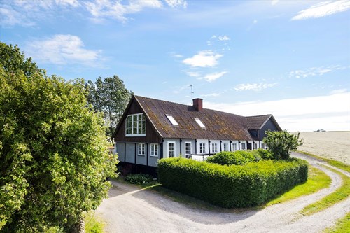 estate