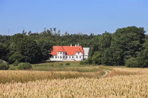 estate