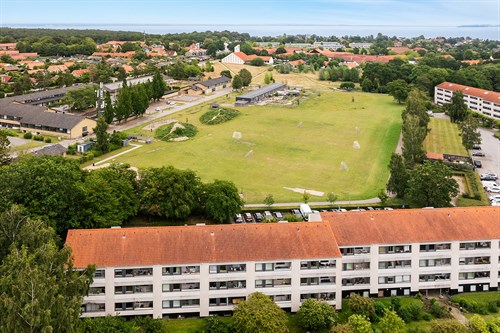 estate