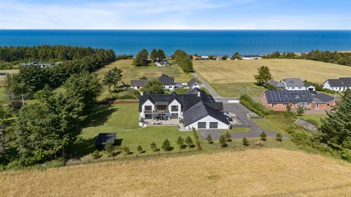 estate