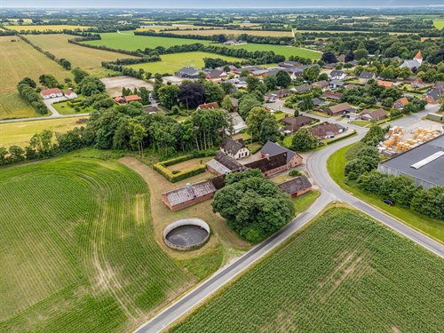 estate