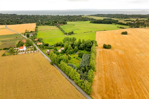 estate