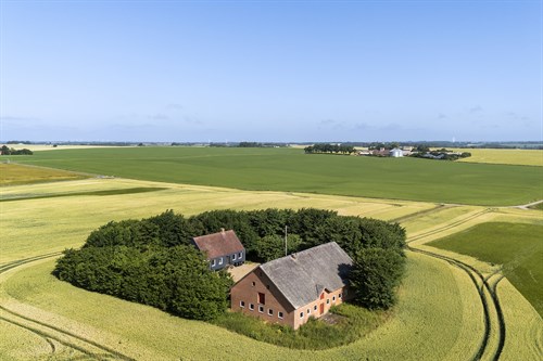 estate