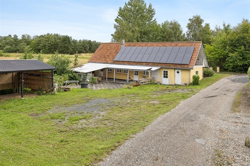 estate