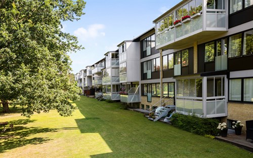 estate