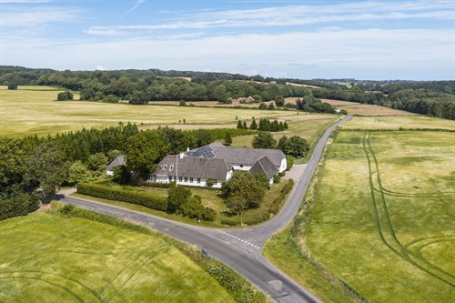 estate