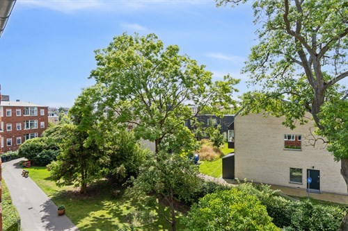 estate