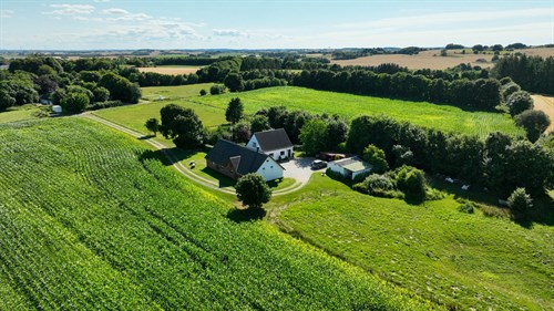 estate