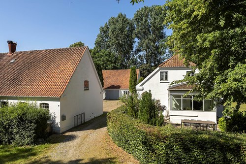 estate