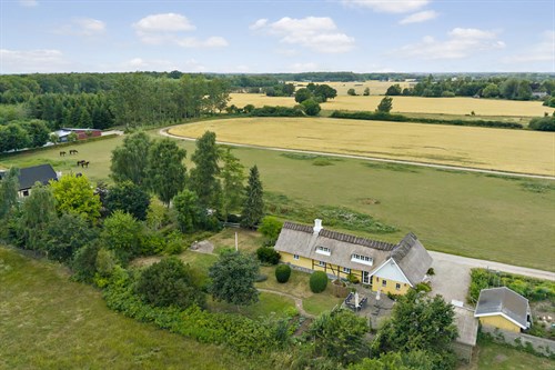 estate