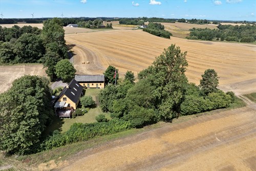 estate