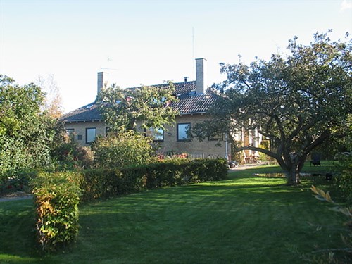 estate