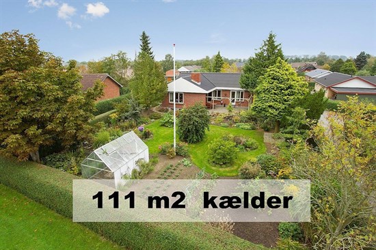 Ankjær 247