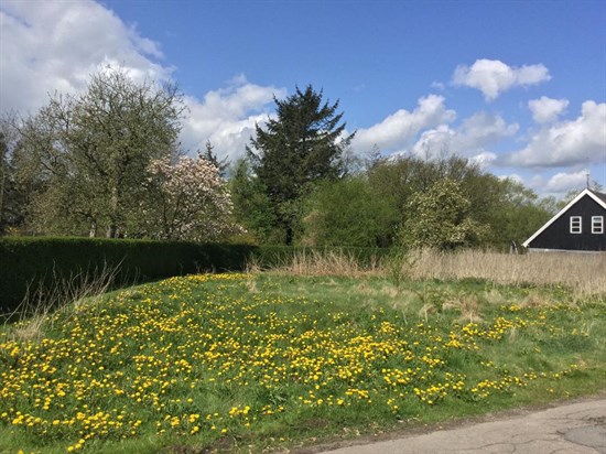 Eriksmindevej 94A