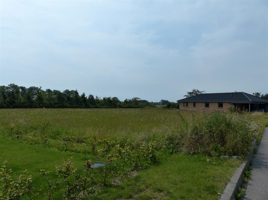 Smedegade 81