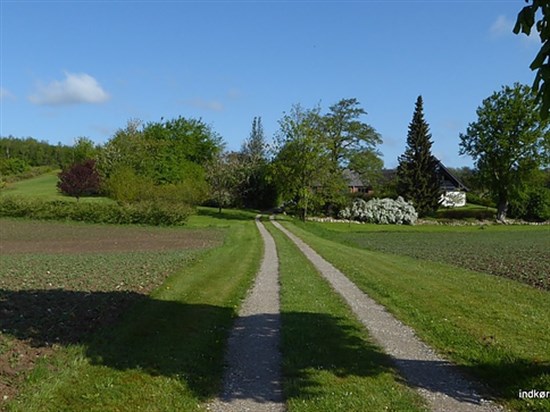 Teglgaardsvej 209