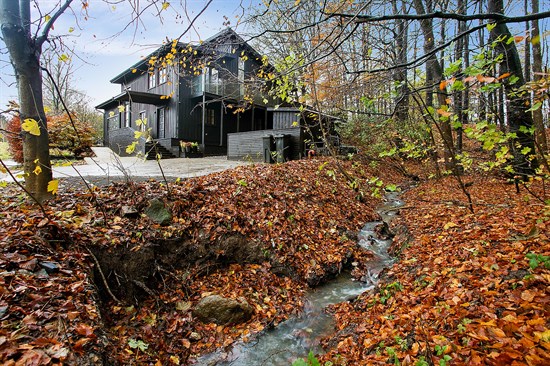 Skovlyvej 13