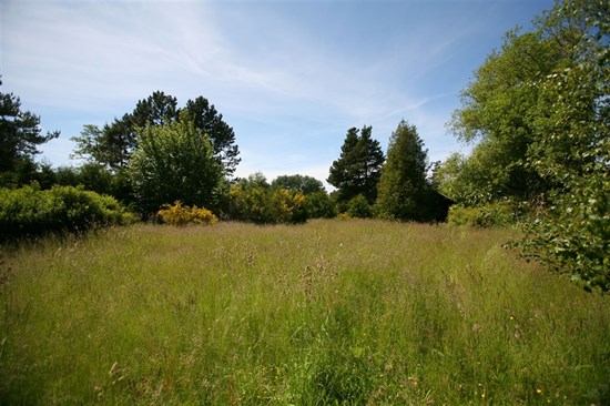 Sommerhuset på Irisvej 4