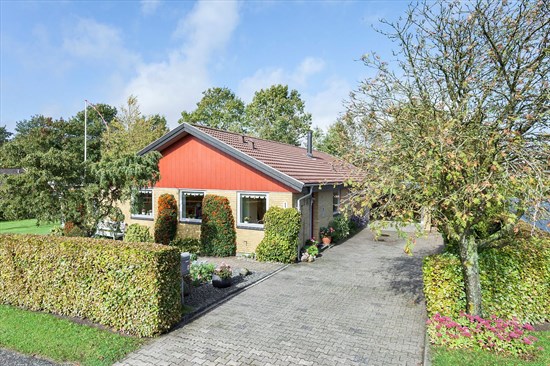 Hallingager 1