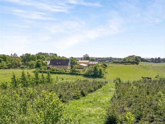 Svanningehuse 21