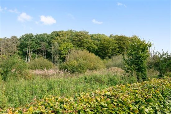 Lysbrogade 22