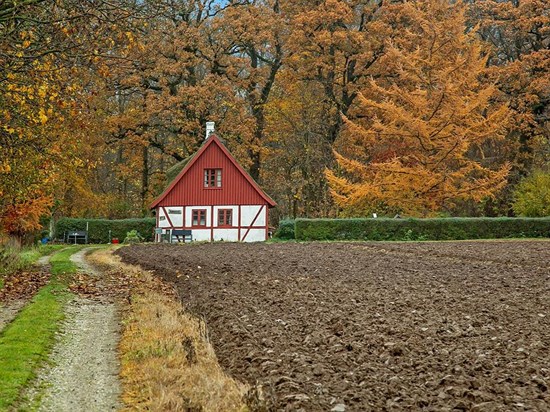 Nyvangsvej 87A
