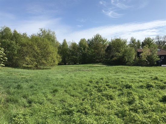 Agervej 8