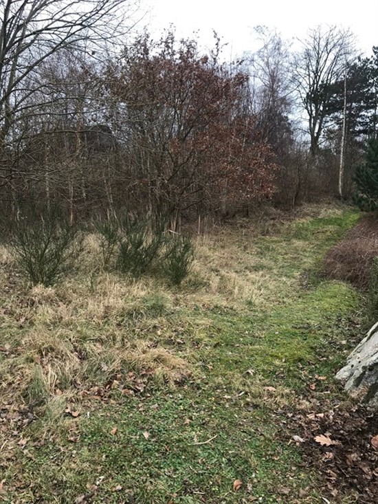 Koglestien 10