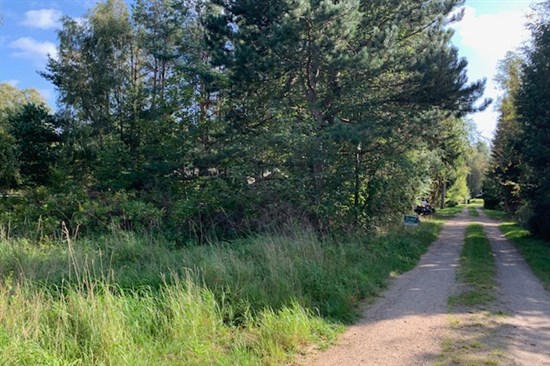 Græshoppestien 13