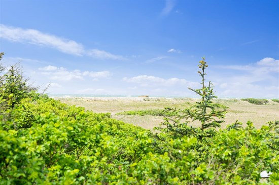 Sommerhuset på Svinget 4