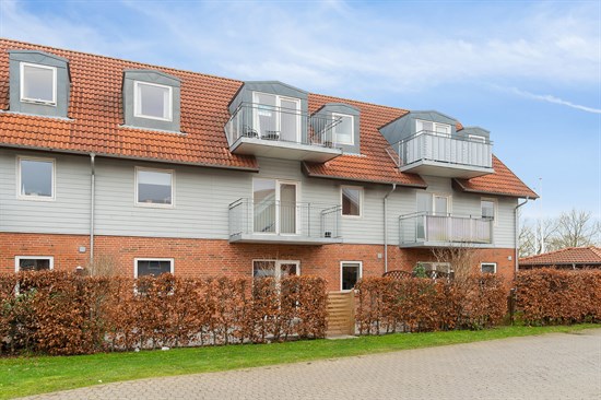 Krohaven 16