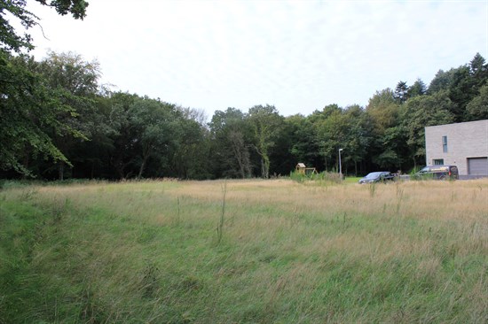 Villaen på Godset 19