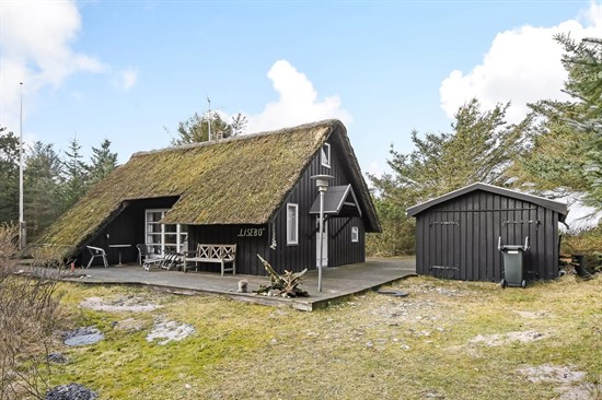 Bjerghuse 93