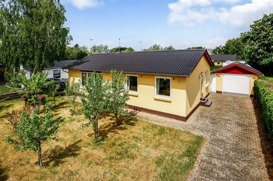 Rosenvold 50