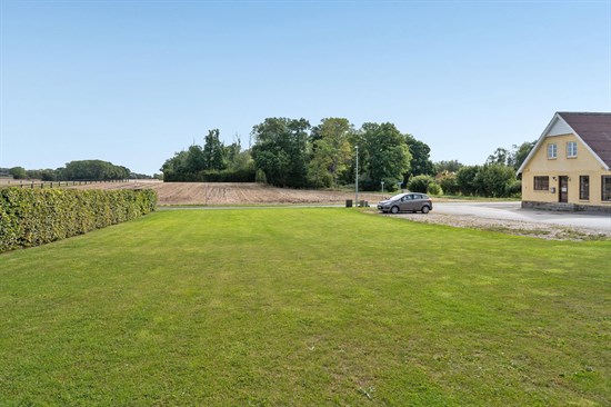 estate