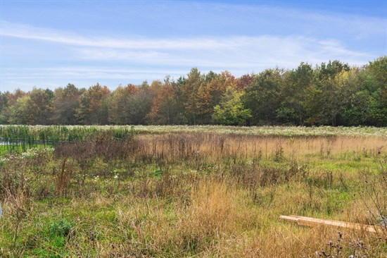 Thorskilden 15