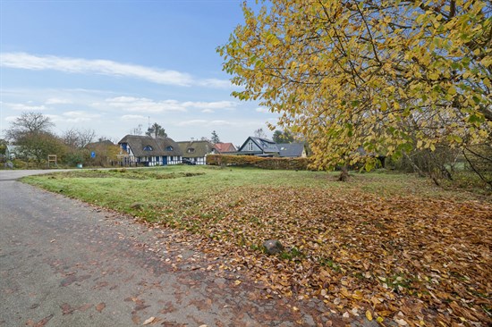 estate