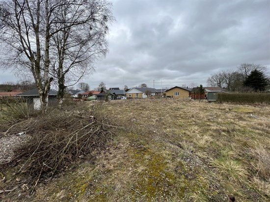 estate