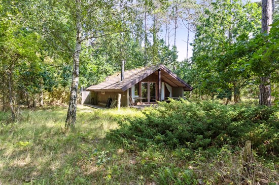 Ranunkelvej 21