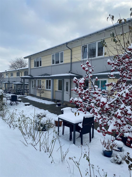 Andelsboligen på Dalsvinget 35