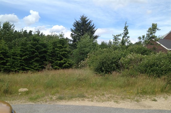 estate