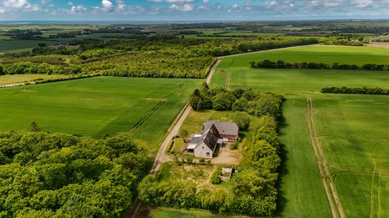estate