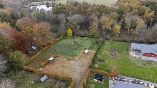 estate