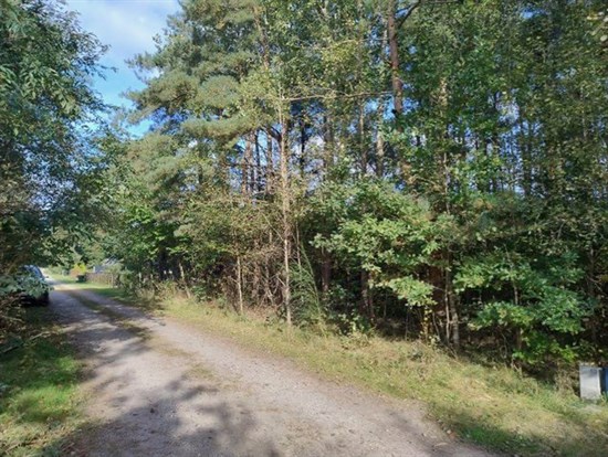 Skovmusvej 7, Thorsager
