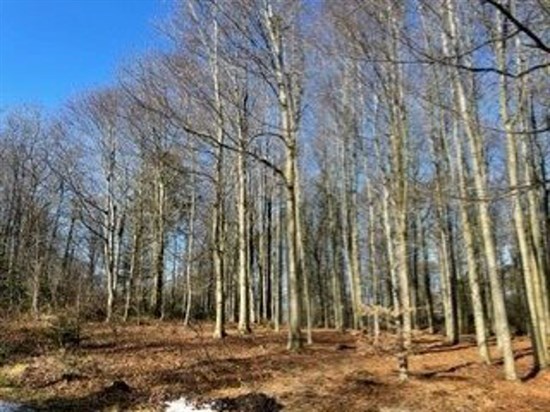 Lejlighed – Fjerritslev, Kollerup - Visning 2