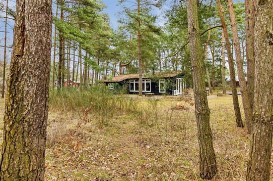 Irisvej 13