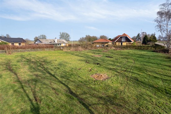 estate